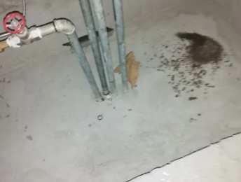 诏安卫生间测漏水价格明细