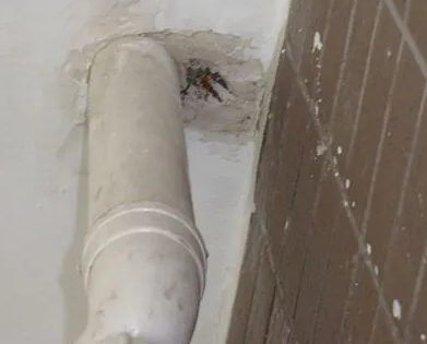 诏安漏水检测哪家好